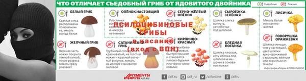 шишки Алексин
