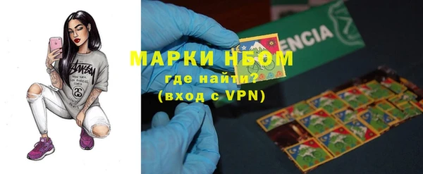 шишки Алексин