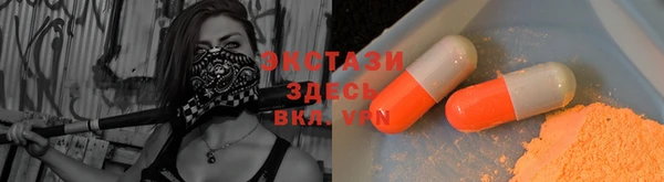 индика Дмитровск