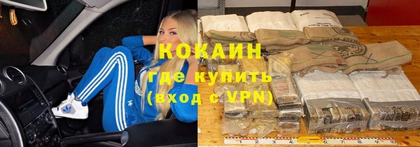 шишки Алексин