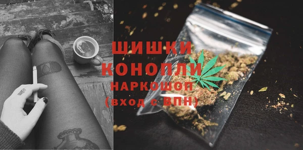 шишки Алексин