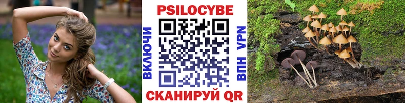 Галлюциногенные грибы Psilocybe  Тимашёвск 