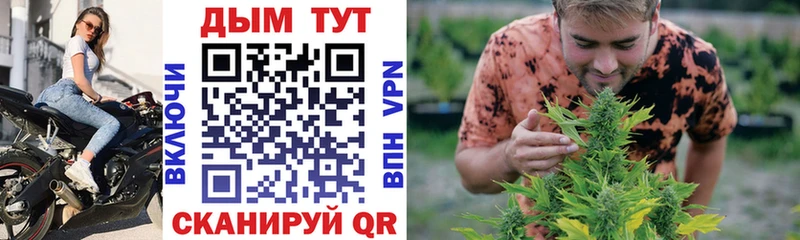 наркота  Тимашёвск  Бошки марихуана конопля 